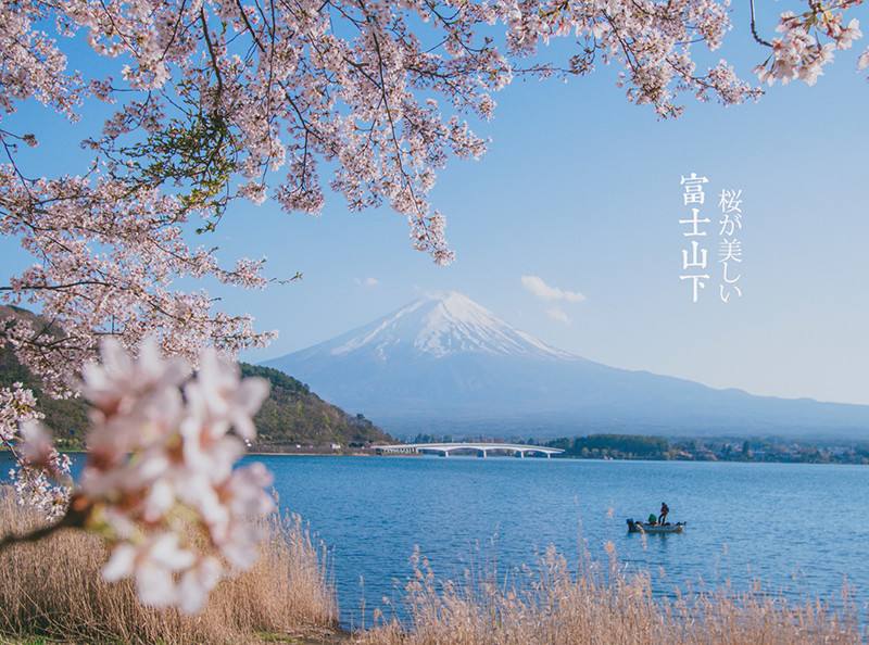 「歌曲分享：富士山下」